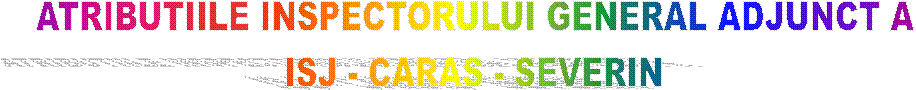 ATRIBUTIILE INSPECTORULUI GENERAL ADJUNCT A 
ISJ - CARAS - SEVERIN 