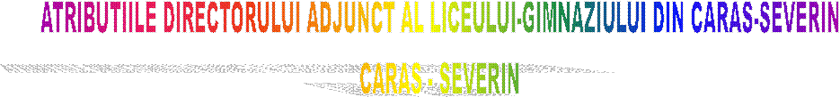 ATRIBUTIILE DIRECTORULUI ADJUNCT AL LICEULUI-GIMNAZIULUI DIN CARAS-SEVERIN
 CARAS - SEVERIN 