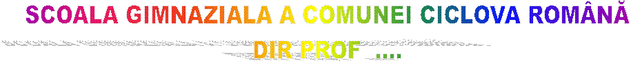 SCOALA GIMNAZIALA A COMUNEI CICLOVA ROM�NĂ
DIR PROF  ....