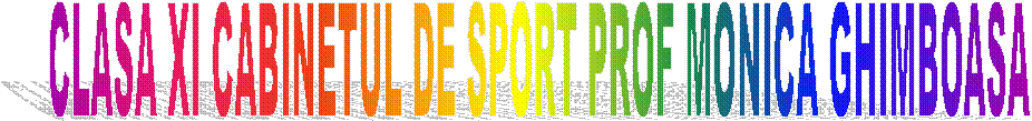 CLASA XI CABINETUL DE SPORT PROF MONICA GHIMBOASA 