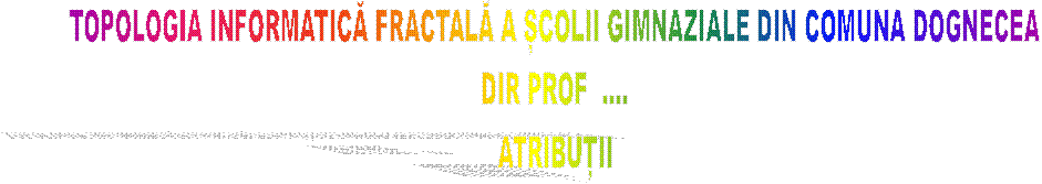 TOPOLOGIA INFORMATICĂ FRACTALĂ A ȘCOLII GIMNAZIALE DIN COMUNA DOGNECEA
DIR PROF  ....
ATRIBUȚII