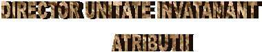 DIRECTOR UNITATE INVATAMANT
         ATRIBUTII