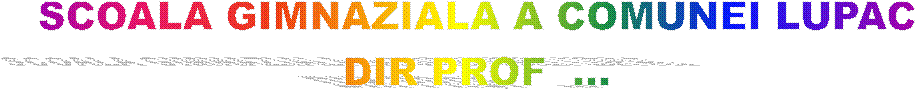 SCOALA GIMNAZIALA A COMUNEI LUPAC
DIR PROF  ...