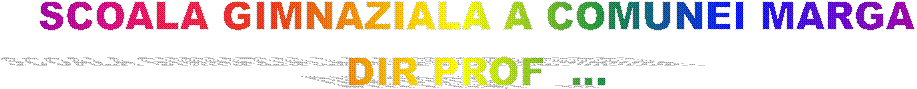 SCOALA GIMNAZIALA A COMUNEI MARGA
DIR PROF  ...