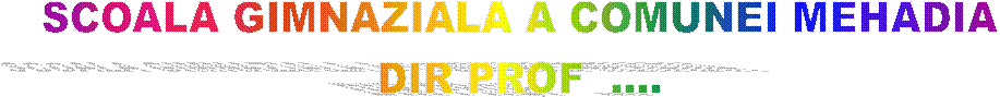 SCOALA GIMNAZIALA A COMUNEI MEHADIA
DIR PROF  ....
