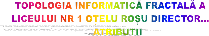 TOPOLOGIA INFORMATICĂ FRACTALĂ A
LICEULUI NR 1 OȚELU ROȘU DIRECTOR...
      ATRIBUTII 