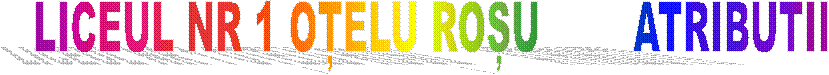 LICEUL NR 1 OȚELU ROȘU        ATRIBUTII  