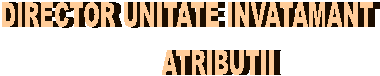 DIRECTOR UNITATE INVATAMANT
         ATRIBUTII