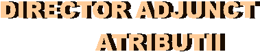 DIRECTOR ADJUNCT
ATRIBUTII