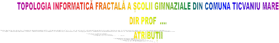 TOPOLOGIA INFORMATICĂ FRACTALĂ A ȘCOLII GIMNAZIALE DIN COMUNA TICVANIU MARE
DIR PROF  ....
ATRIBUȚII