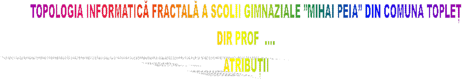 TOPOLOGIA INFORMATICĂ FRACTALĂ A SCOLII GIMNAZIALE �MIHAI PEIA� DIN COMUNA TOPLEȚ
DIR PROF  ....
ATRIBUȚII
