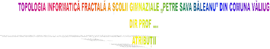 TOPOLOGIA INFORMATICĂ FRACTALĂ A ȘCOLII GIMNAZIALE �PETRE SAVA BĂLEANU� DIN COMUNA VĂLIUG
DIR PROF ....
ATRIBUȚII