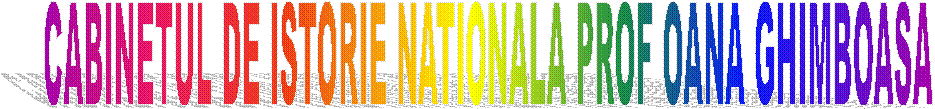 CABINETUL DE ISTORIE NATIONALA PROF OANA GHIMBOASA